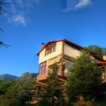 Militsa Guesthouse Naousa  Zewnętrze zdjęcie