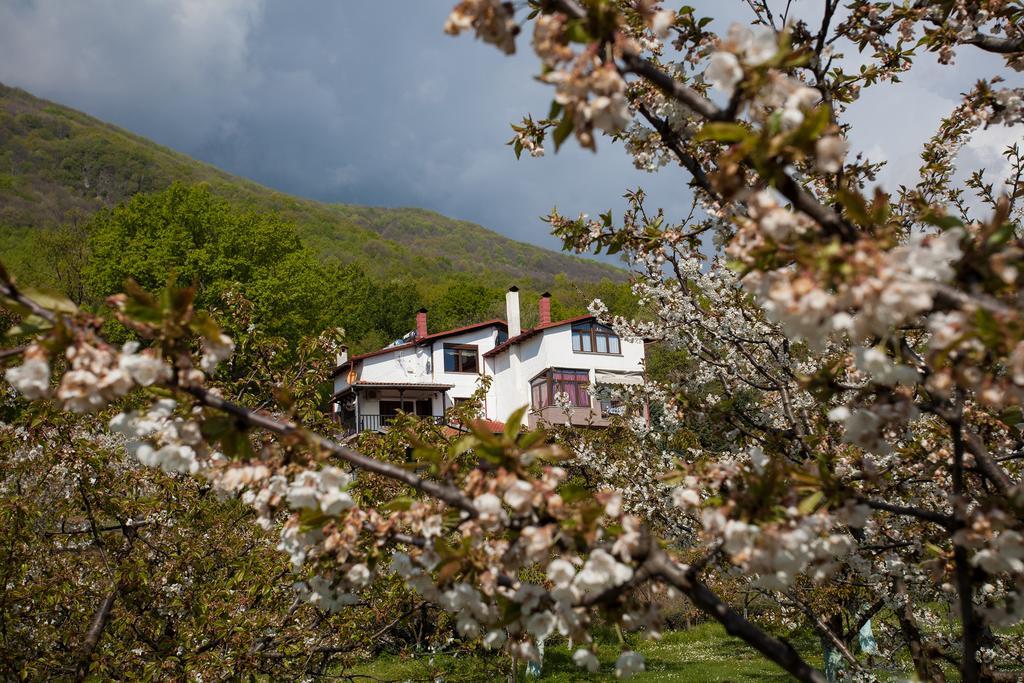 Militsa Guesthouse Naousa  Zewnętrze zdjęcie