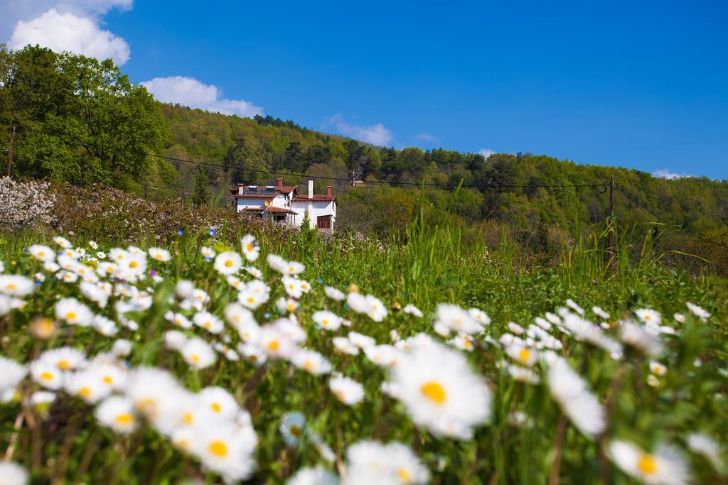 Militsa Guesthouse Naousa  Zewnętrze zdjęcie