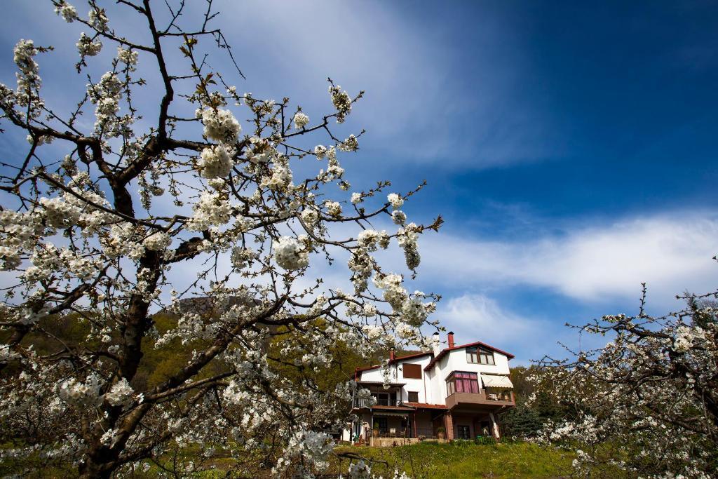 Militsa Guesthouse Naousa  Zewnętrze zdjęcie