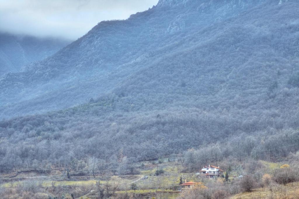 Militsa Guesthouse Naousa  Zewnętrze zdjęcie